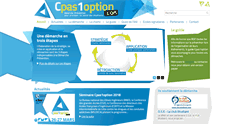 Desktop Screenshot of cpas1option.com